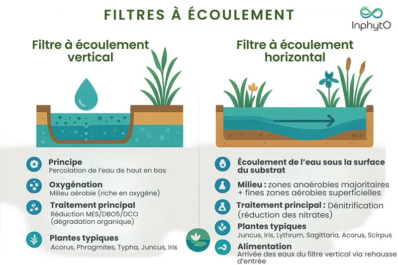 filtre planté vertical et horizontal