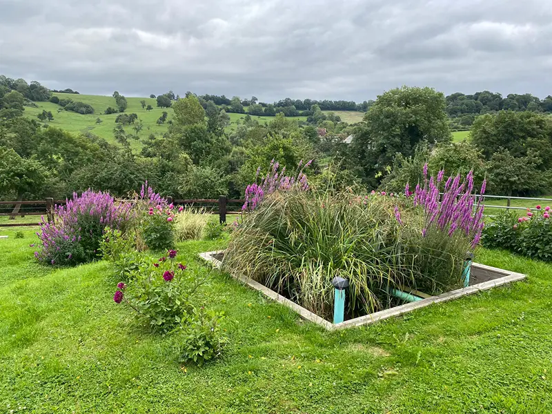 Système d'Assainissement Non Collectif (ANC) par filtre planté pour une maison à la campagne
