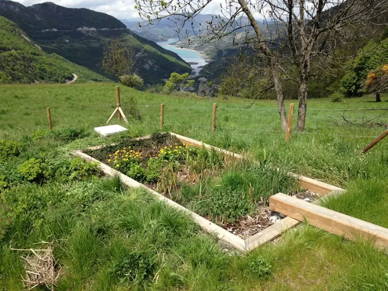 Bassin de phytoépuration Inphyto intégré dans un paysage de montagne avec vue sur lac
